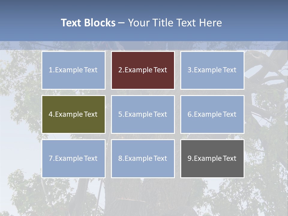 A Man Is Climbing Up A Tree With A Harness PowerPoint Template