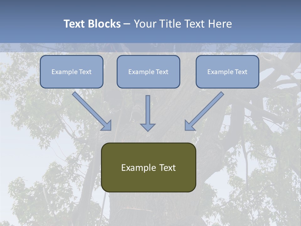 A Man Is Climbing Up A Tree With A Harness PowerPoint Template