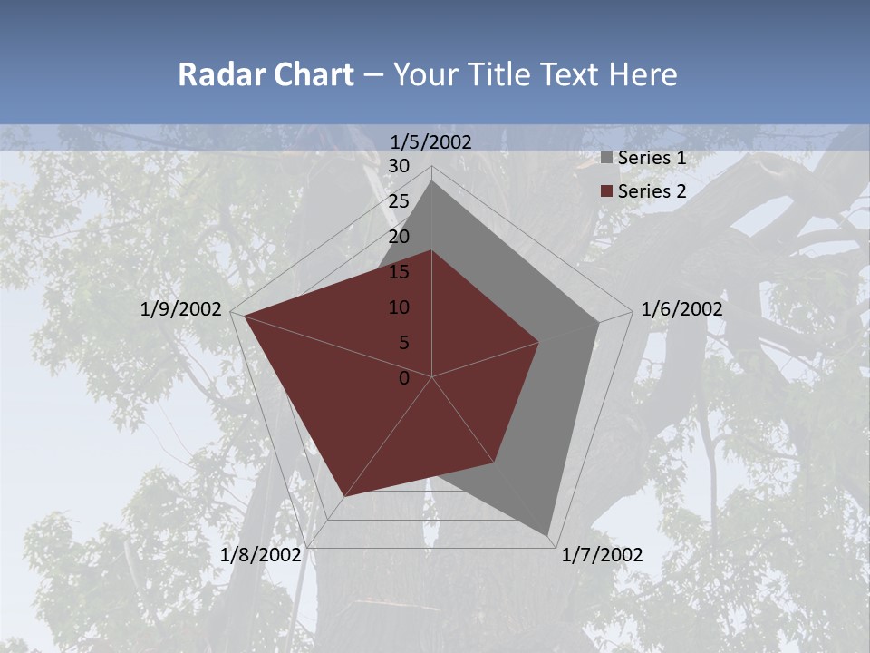 A Man Is Climbing Up A Tree With A Harness PowerPoint Template