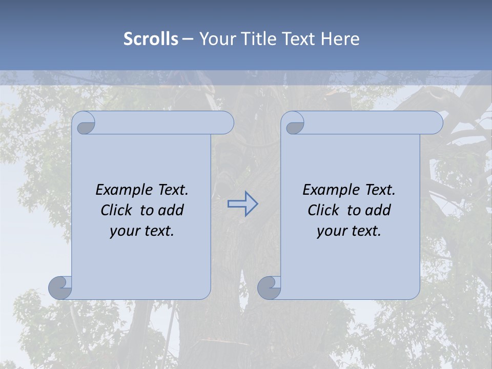 A Man Is Climbing Up A Tree With A Harness PowerPoint Template