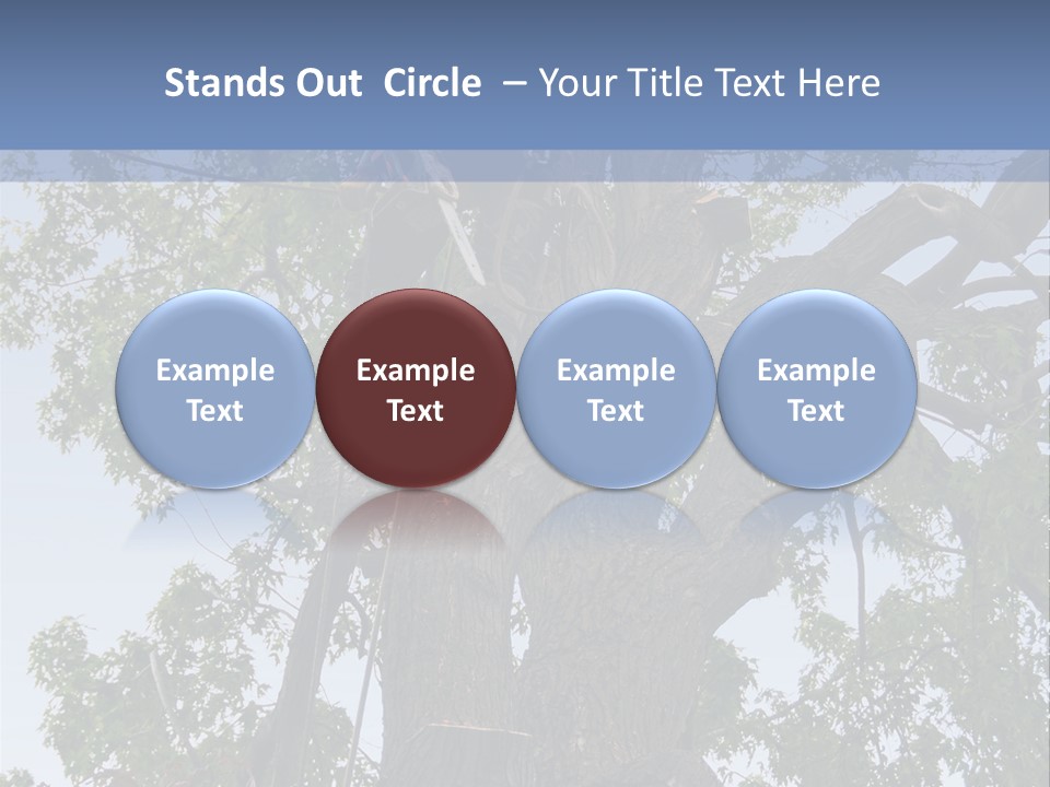 A Man Is Climbing Up A Tree With A Harness PowerPoint Template