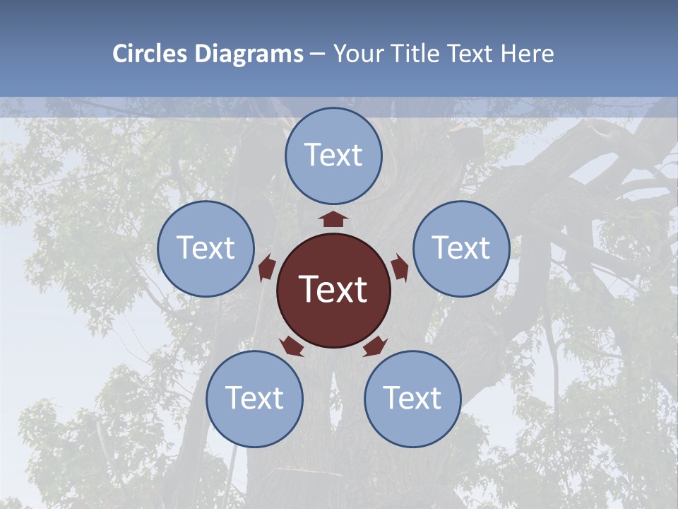 A Man Is Climbing Up A Tree With A Harness PowerPoint Template