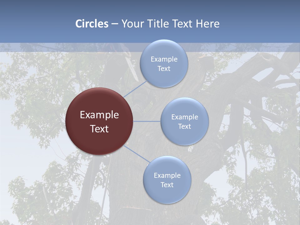 A Man Is Climbing Up A Tree With A Harness PowerPoint Template
