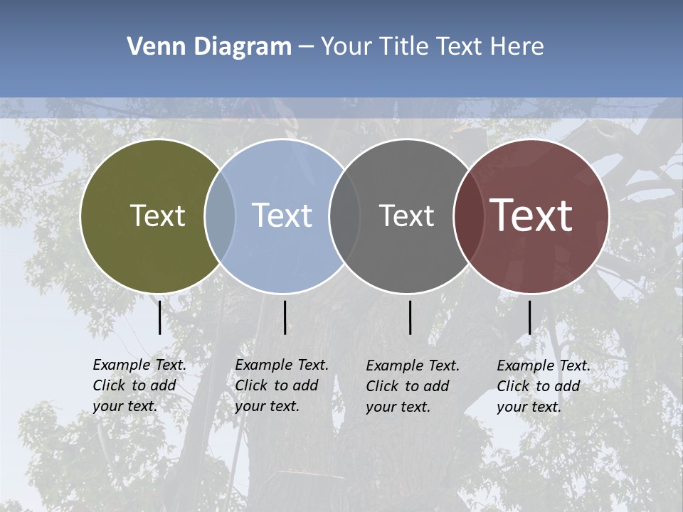 A Man Is Climbing Up A Tree With A Harness PowerPoint Template