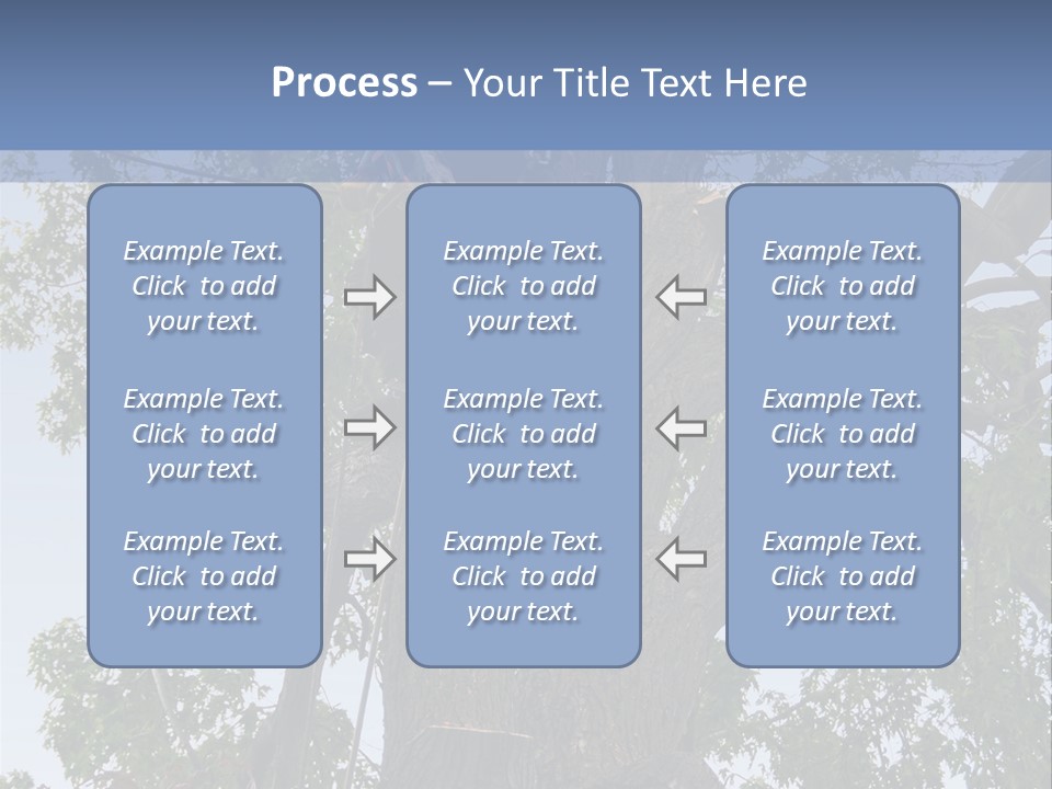 A Man Is Climbing Up A Tree With A Harness PowerPoint Template