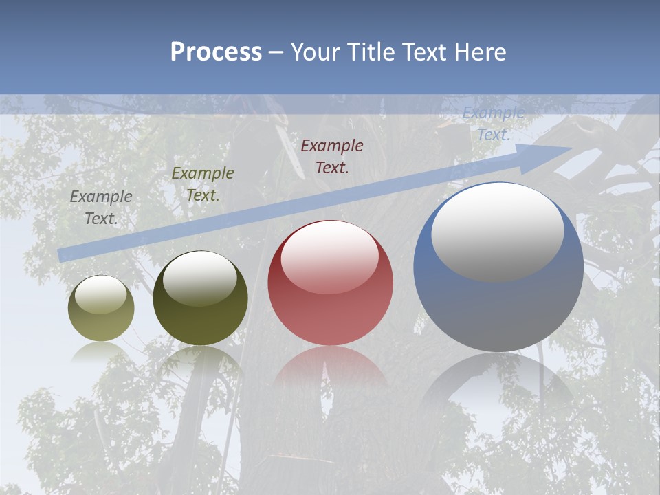 A Man Is Climbing Up A Tree With A Harness PowerPoint Template