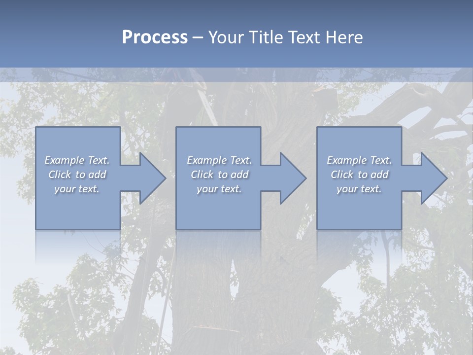 A Man Is Climbing Up A Tree With A Harness PowerPoint Template