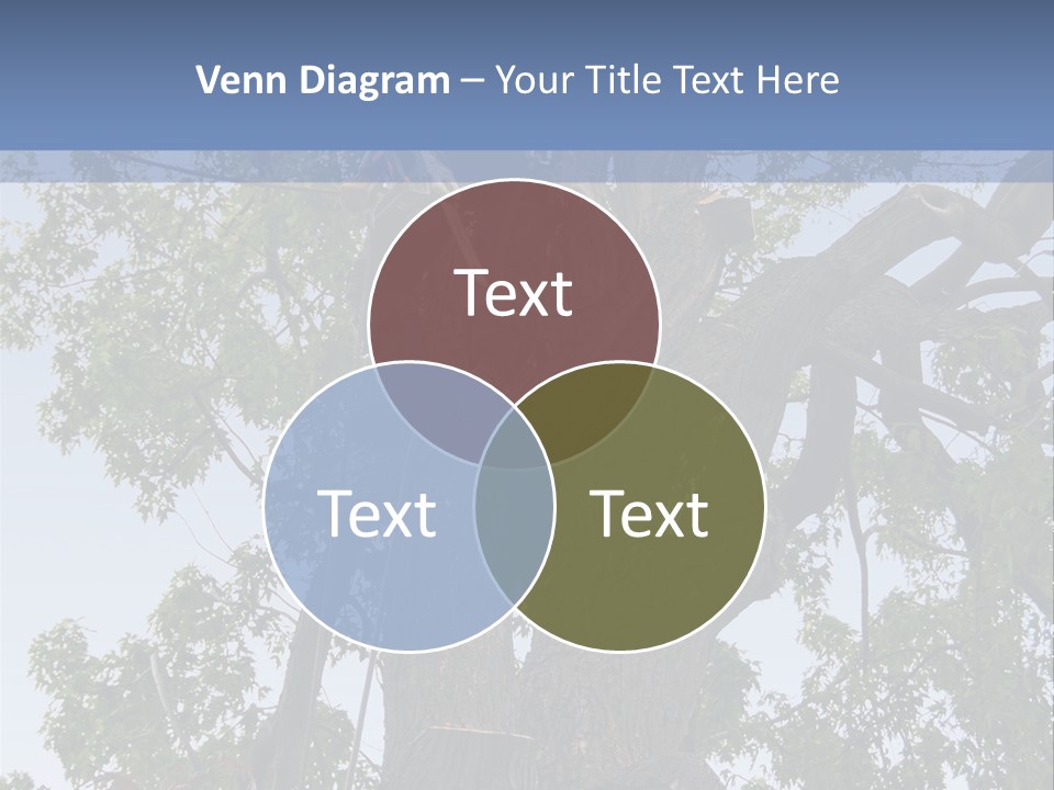 A Man Is Climbing Up A Tree With A Harness PowerPoint Template