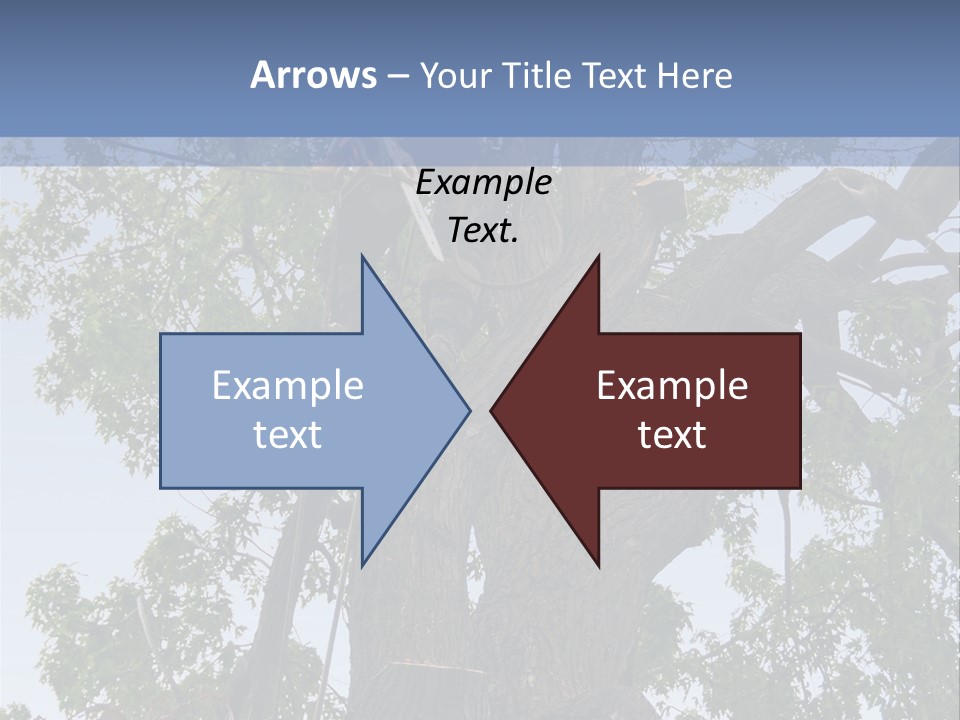 A Man Is Climbing Up A Tree With A Harness PowerPoint Template