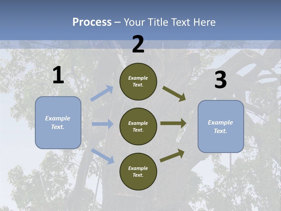A Man Is Climbing Up A Tree With A Harness PowerPoint Template