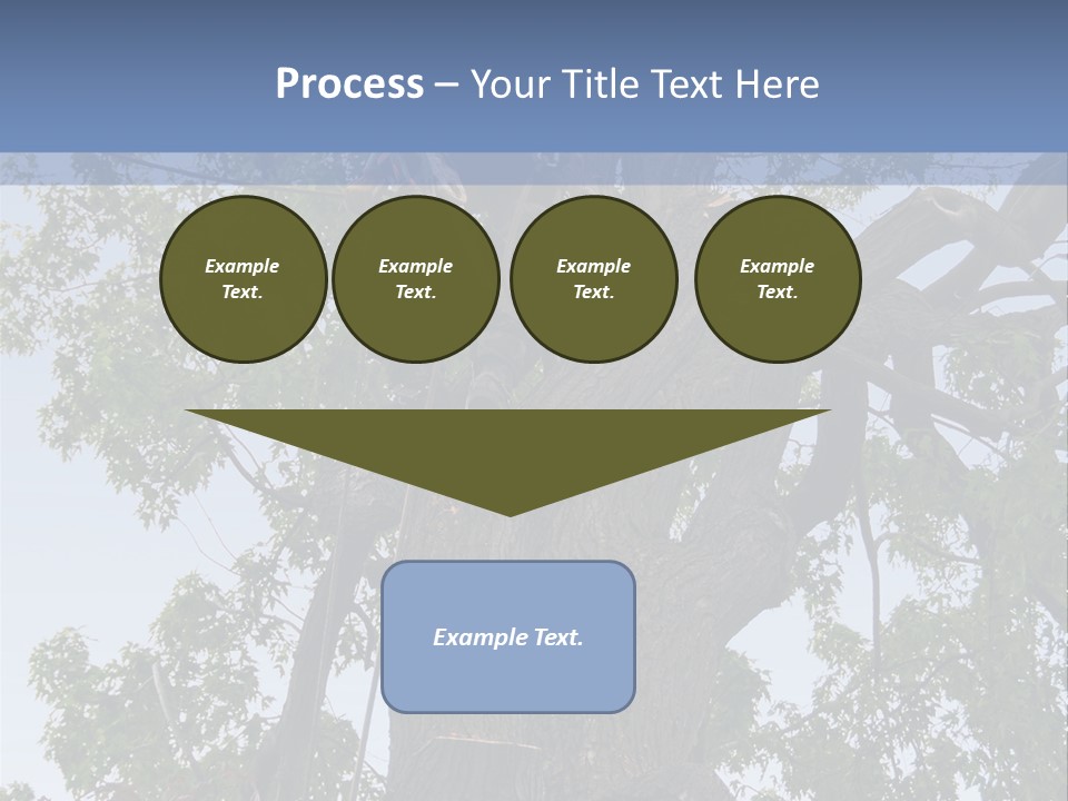 A Man Is Climbing Up A Tree With A Harness PowerPoint Template