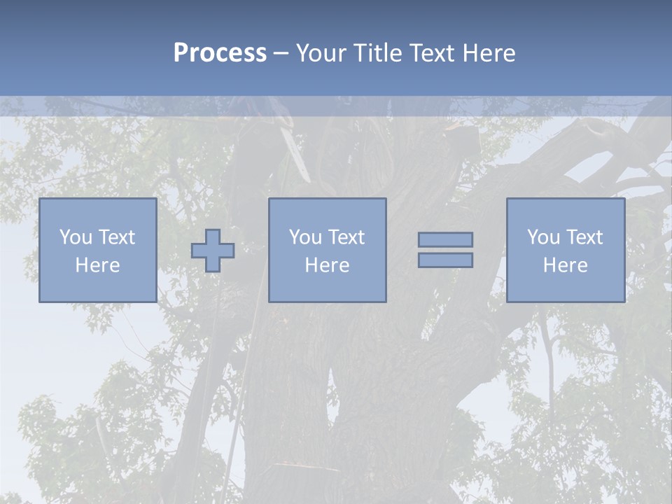 A Man Is Climbing Up A Tree With A Harness PowerPoint Template