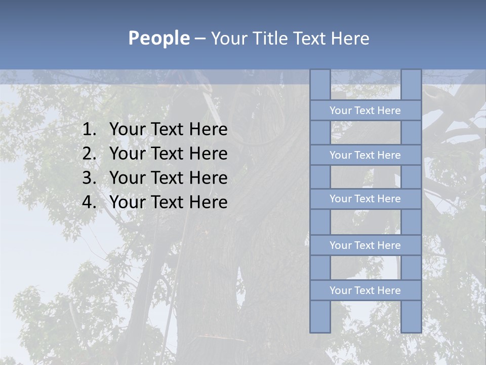 A Man Is Climbing Up A Tree With A Harness PowerPoint Template