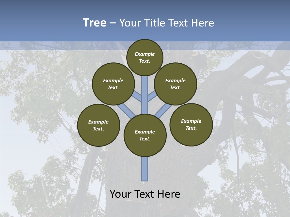A Man Is Climbing Up A Tree With A Harness PowerPoint Template
