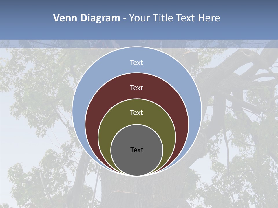 A Man Is Climbing Up A Tree With A Harness PowerPoint Template
