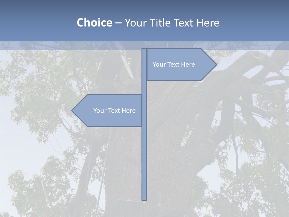 A Man Is Climbing Up A Tree With A Harness PowerPoint Template