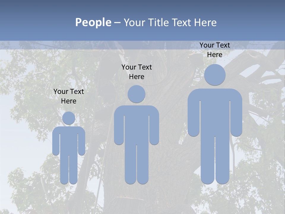 A Man Is Climbing Up A Tree With A Harness PowerPoint Template