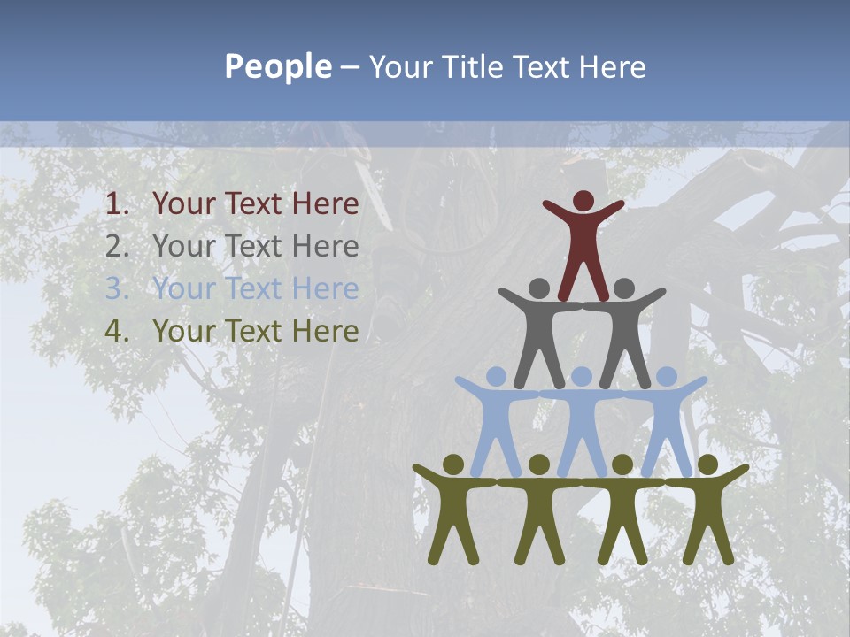 A Man Is Climbing Up A Tree With A Harness PowerPoint Template