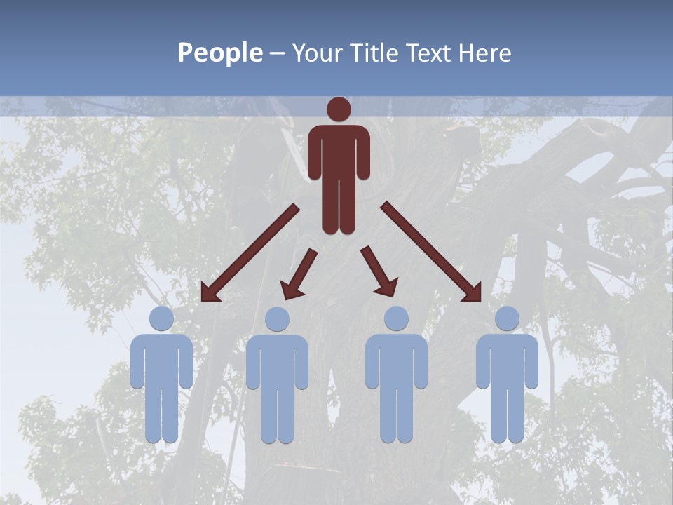 A Man Is Climbing Up A Tree With A Harness PowerPoint Template
