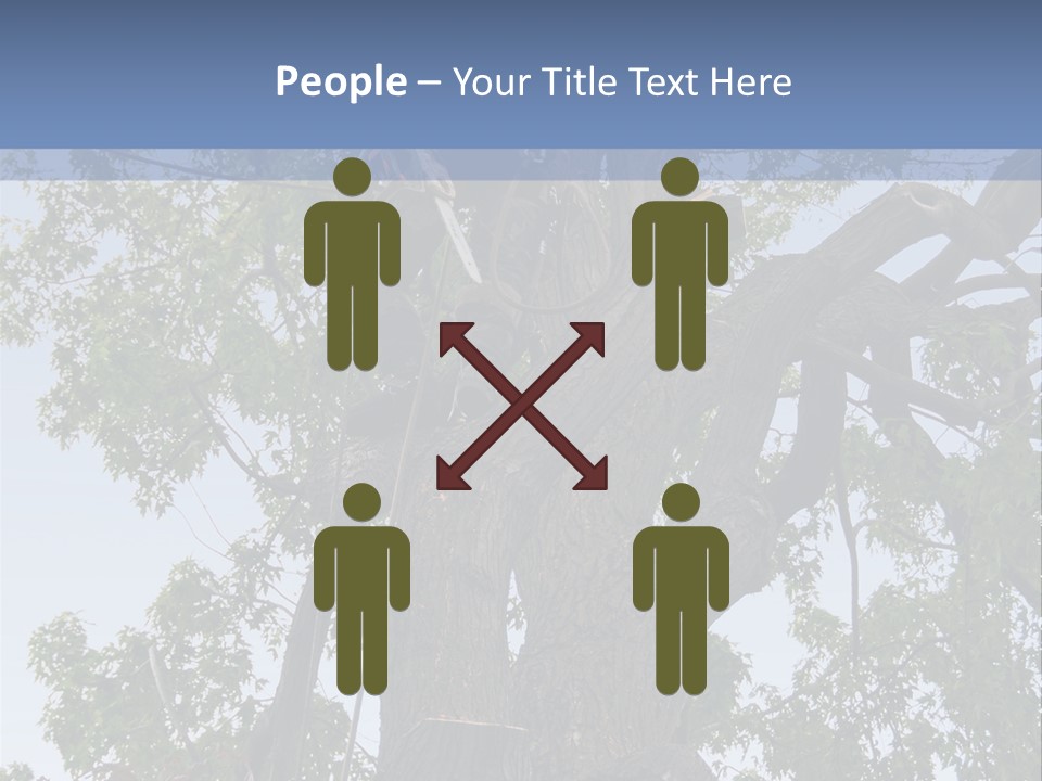 A Man Is Climbing Up A Tree With A Harness PowerPoint Template