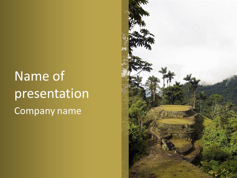 A Picture Of A Jungle With Trees And A Mountain In The Background PowerPoint Template