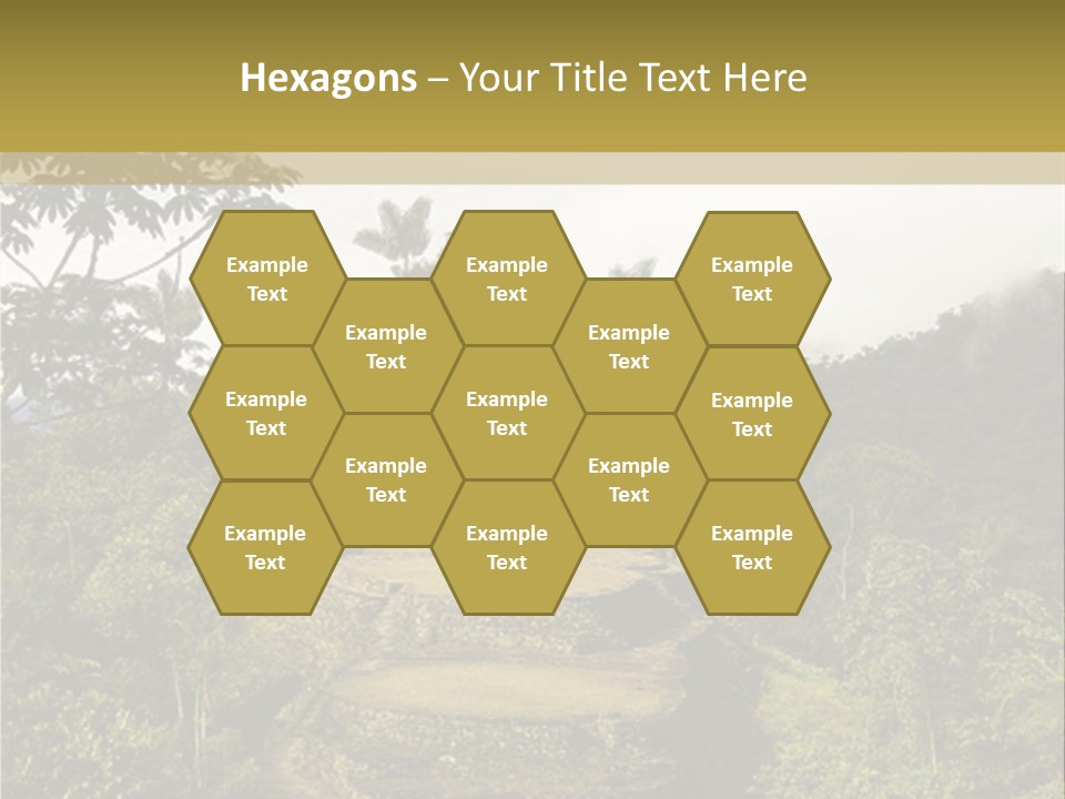 A Picture Of A Jungle With Trees And A Mountain In The Background PowerPoint Template