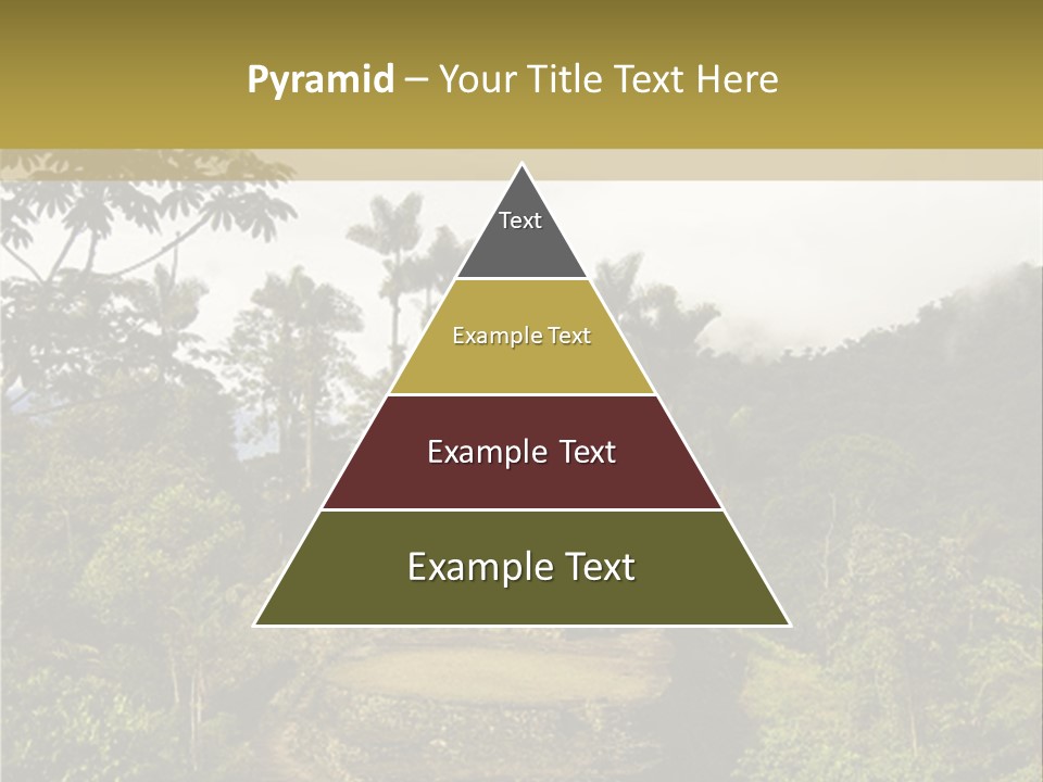 A Picture Of A Jungle With Trees And A Mountain In The Background PowerPoint Template