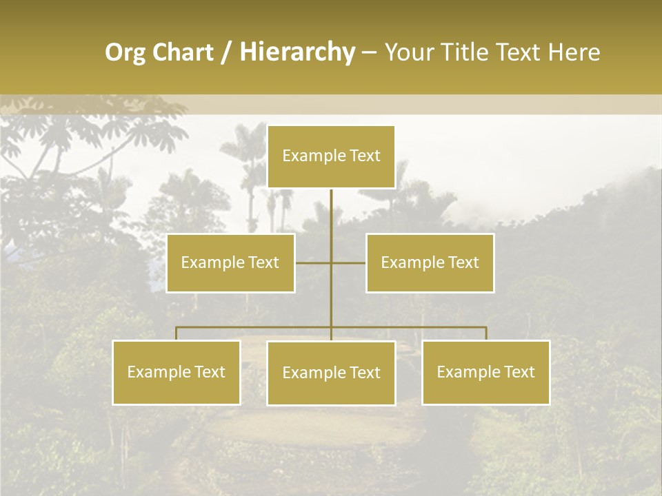 A Picture Of A Jungle With Trees And A Mountain In The Background PowerPoint Template