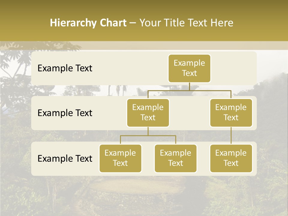 A Picture Of A Jungle With Trees And A Mountain In The Background PowerPoint Template