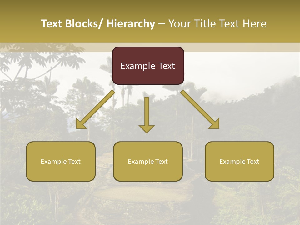 A Picture Of A Jungle With Trees And A Mountain In The Background PowerPoint Template