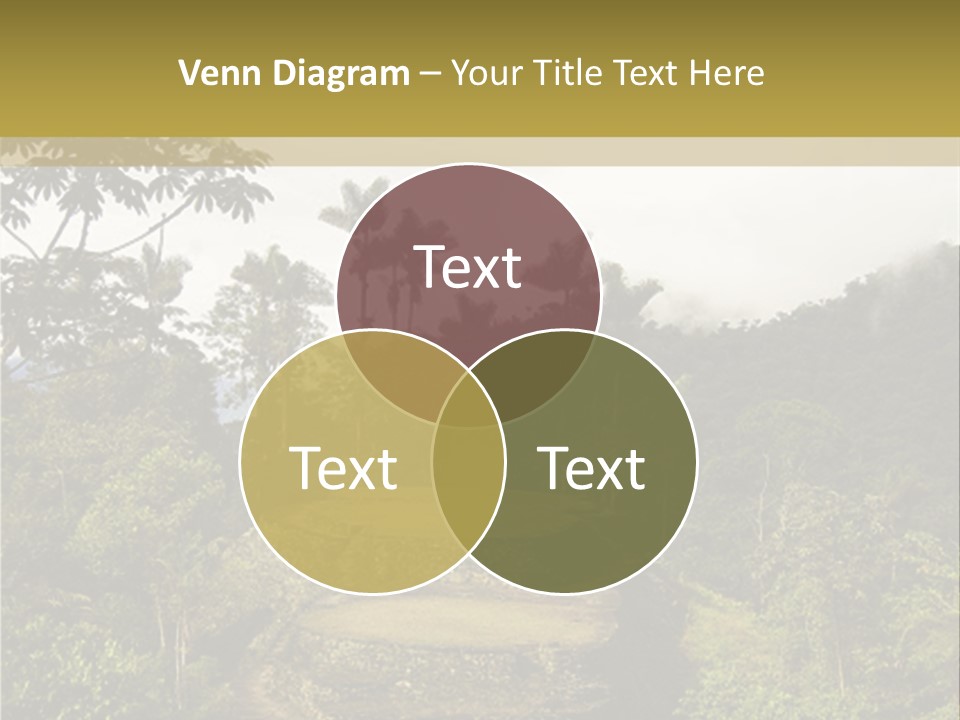 A Picture Of A Jungle With Trees And A Mountain In The Background PowerPoint Template
