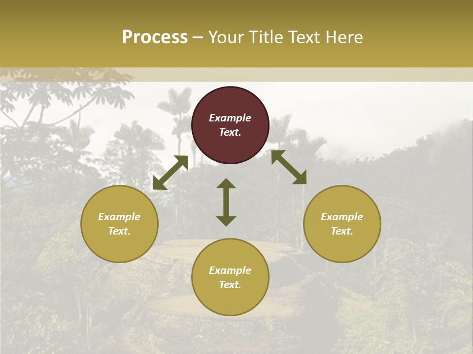 A Picture Of A Jungle With Trees And A Mountain In The Background PowerPoint Template