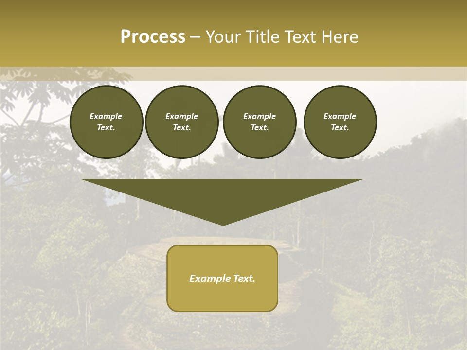 A Picture Of A Jungle With Trees And A Mountain In The Background PowerPoint Template