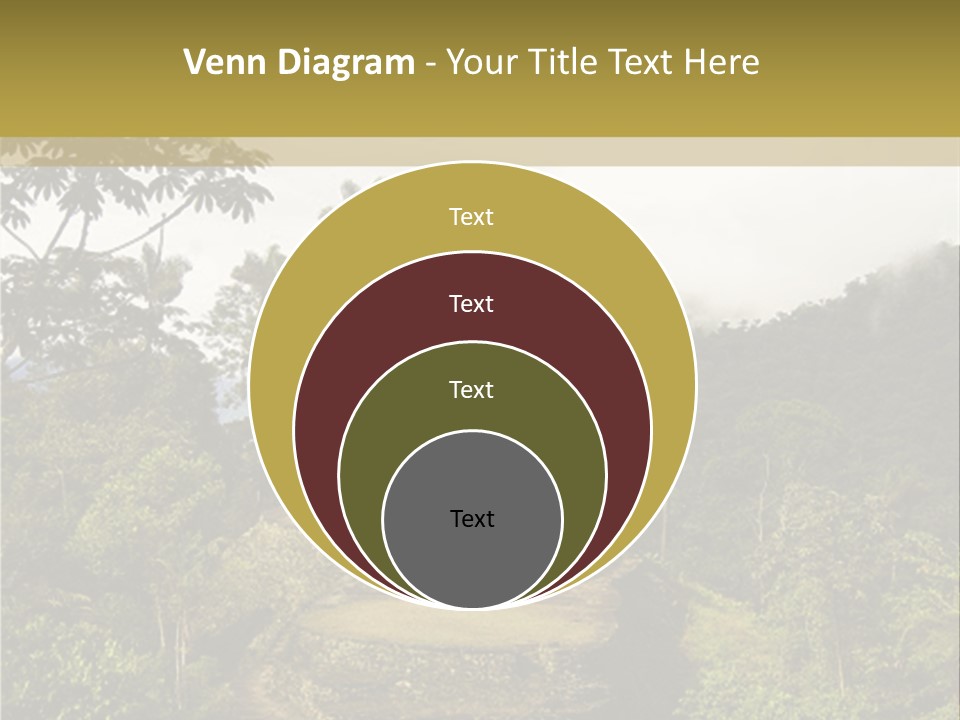 A Picture Of A Jungle With Trees And A Mountain In The Background PowerPoint Template