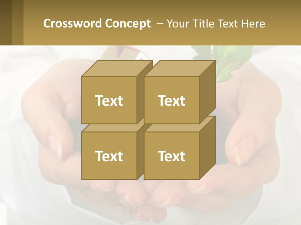 A Person Holding A Small House In Their Hands PowerPoint Template