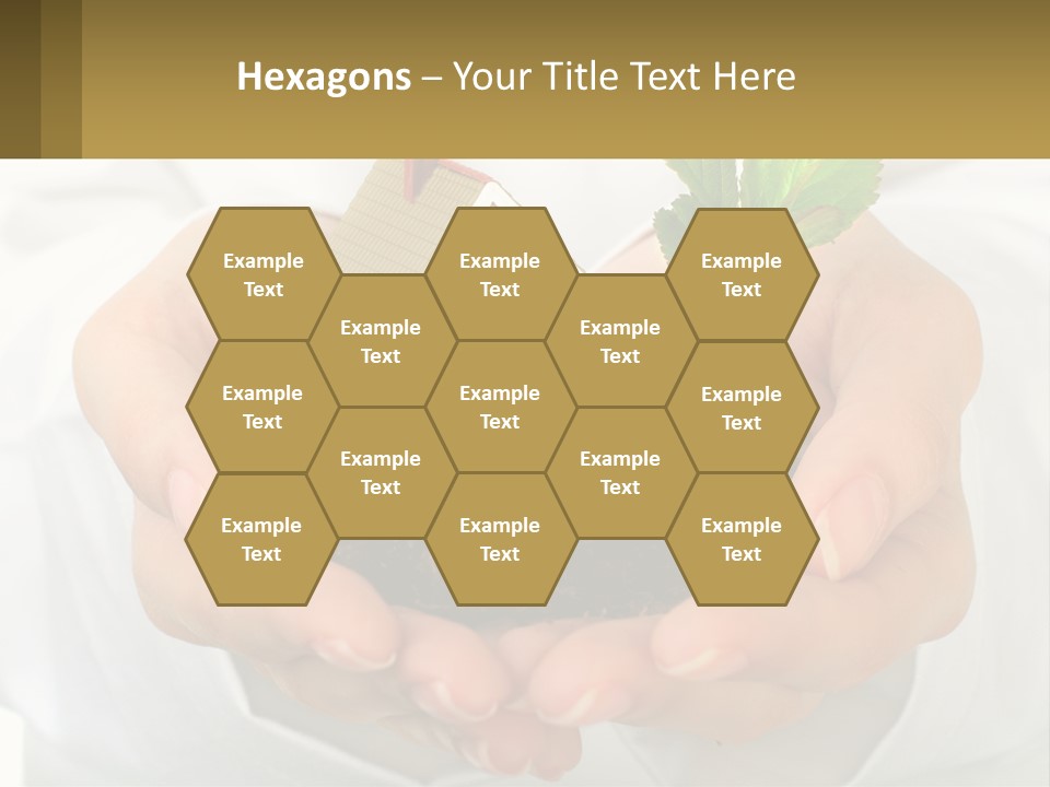 A Person Holding A Small House In Their Hands PowerPoint Template