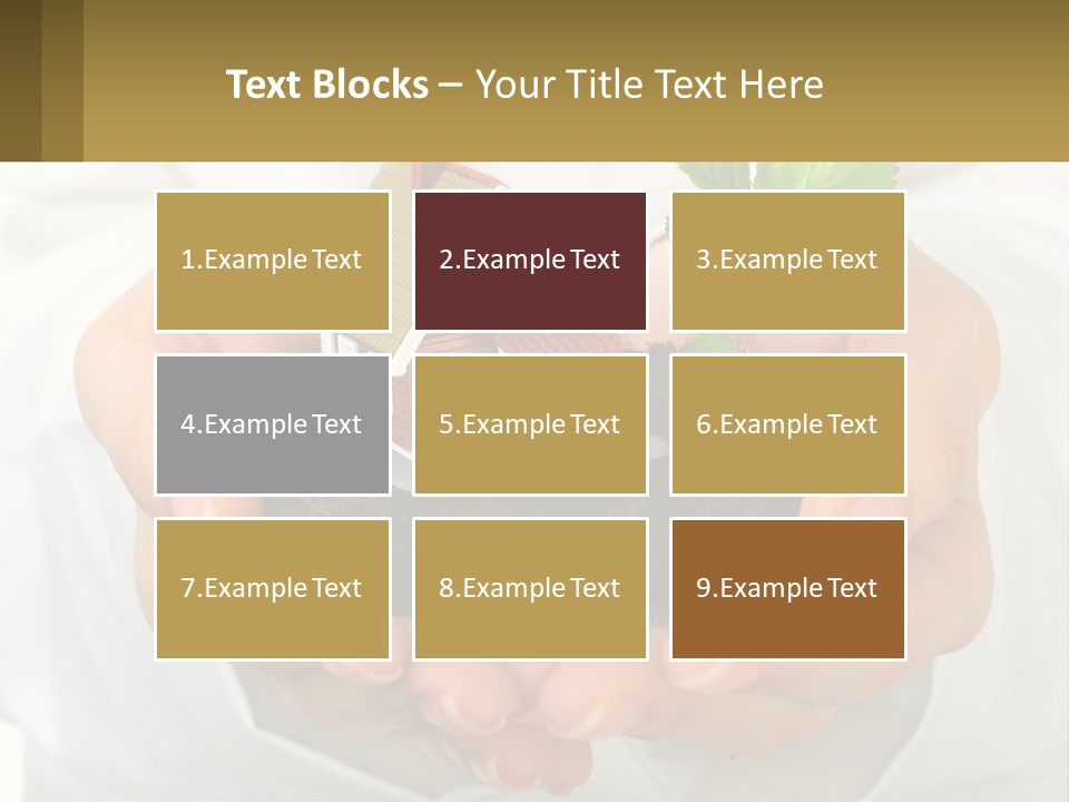 A Person Holding A Small House In Their Hands PowerPoint Template