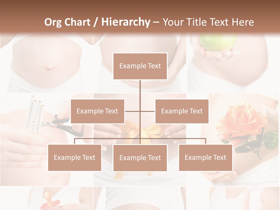 A Pregnant Woman Holding A Flower And A Knife PowerPoint Template