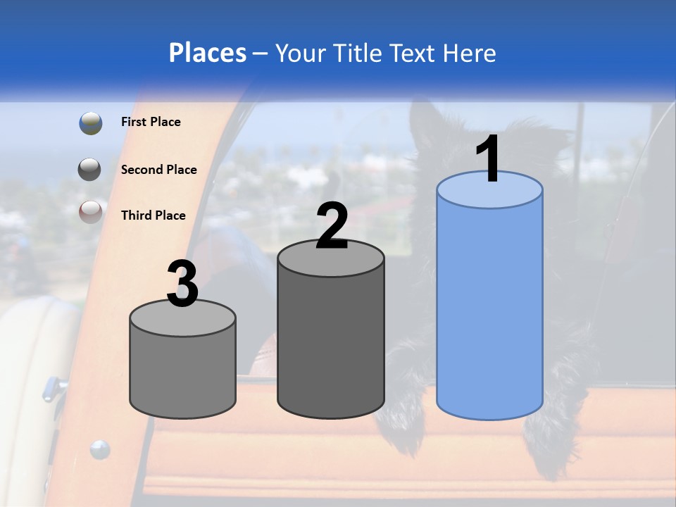 A Small Black Dog Sitting In The Back Of A Truck PowerPoint Template