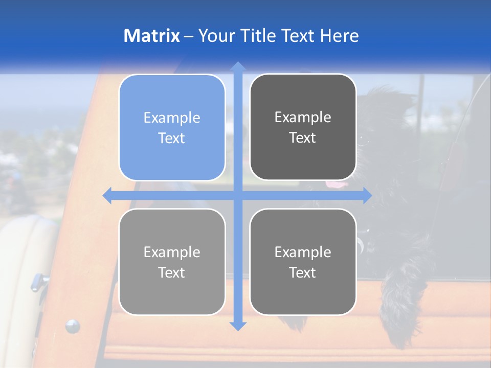 A Small Black Dog Sitting In The Back Of A Truck PowerPoint Template