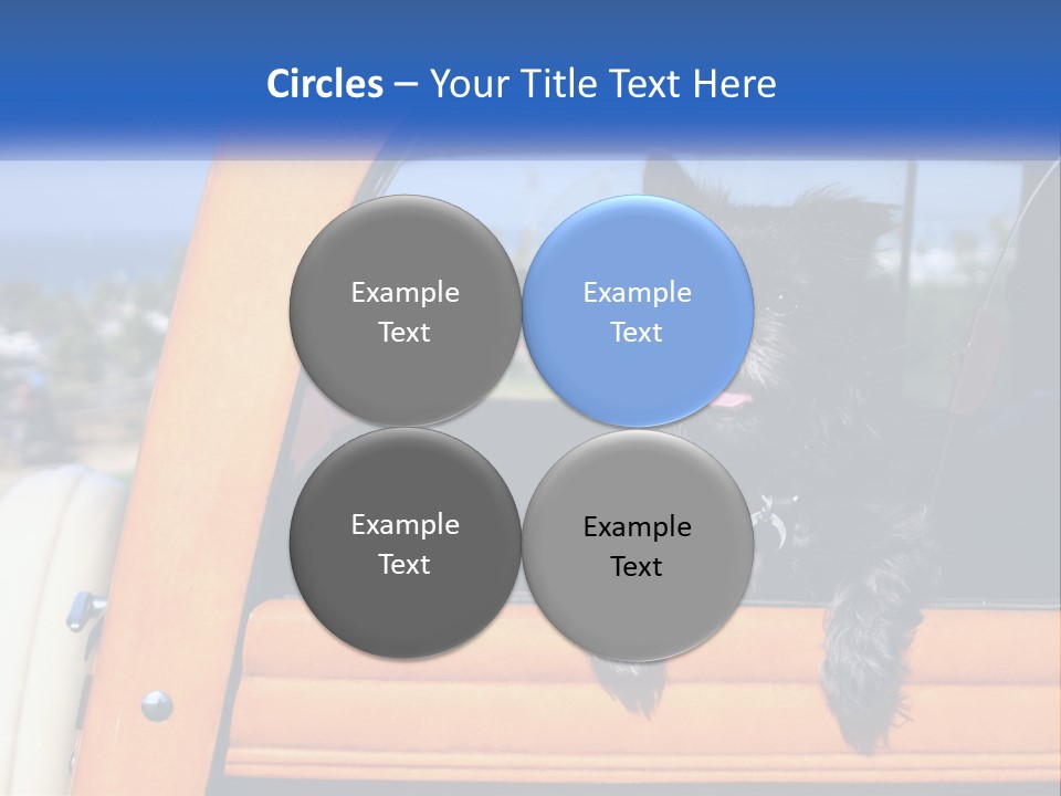 A Small Black Dog Sitting In The Back Of A Truck PowerPoint Template