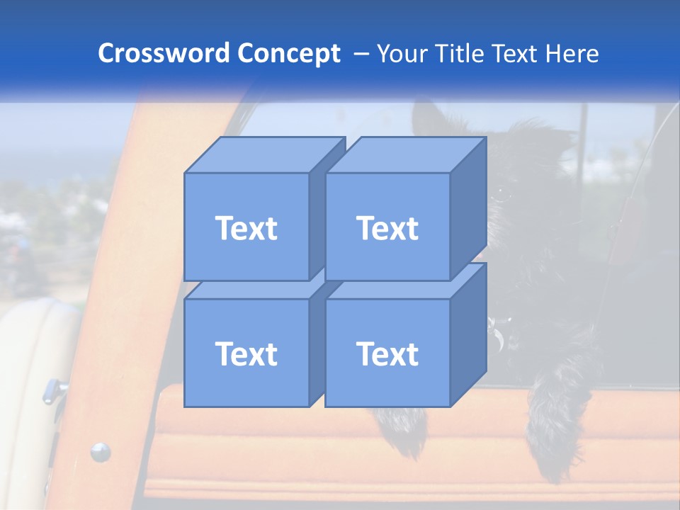 A Small Black Dog Sitting In The Back Of A Truck PowerPoint Template