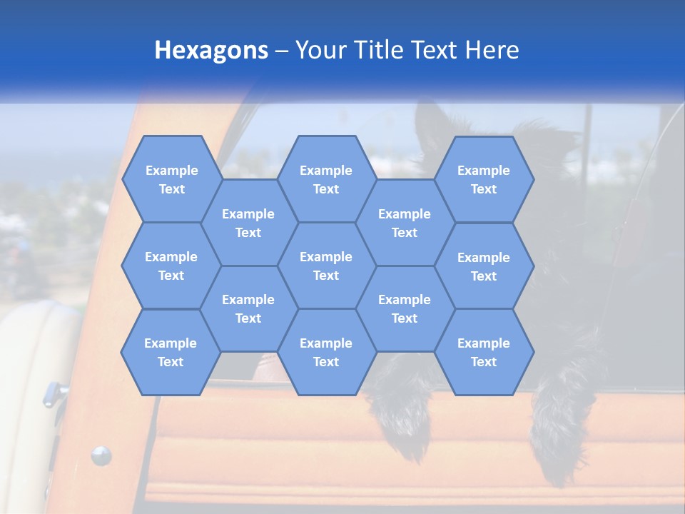 A Small Black Dog Sitting In The Back Of A Truck PowerPoint Template