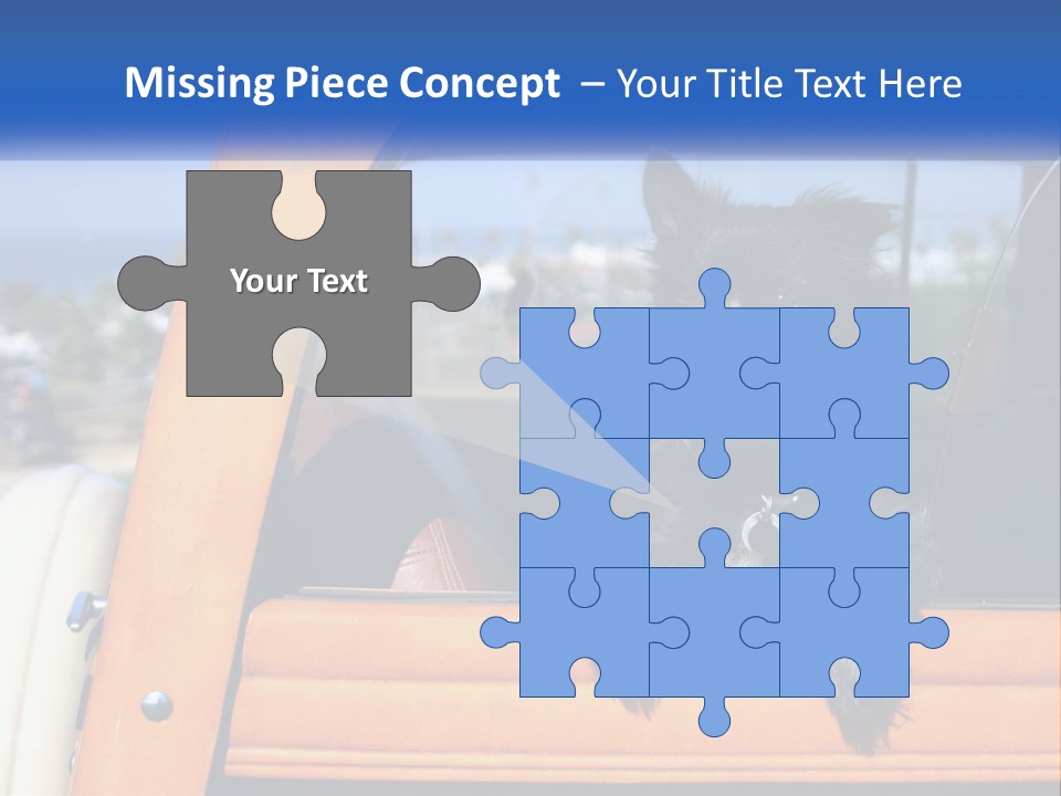 A Small Black Dog Sitting In The Back Of A Truck PowerPoint Template