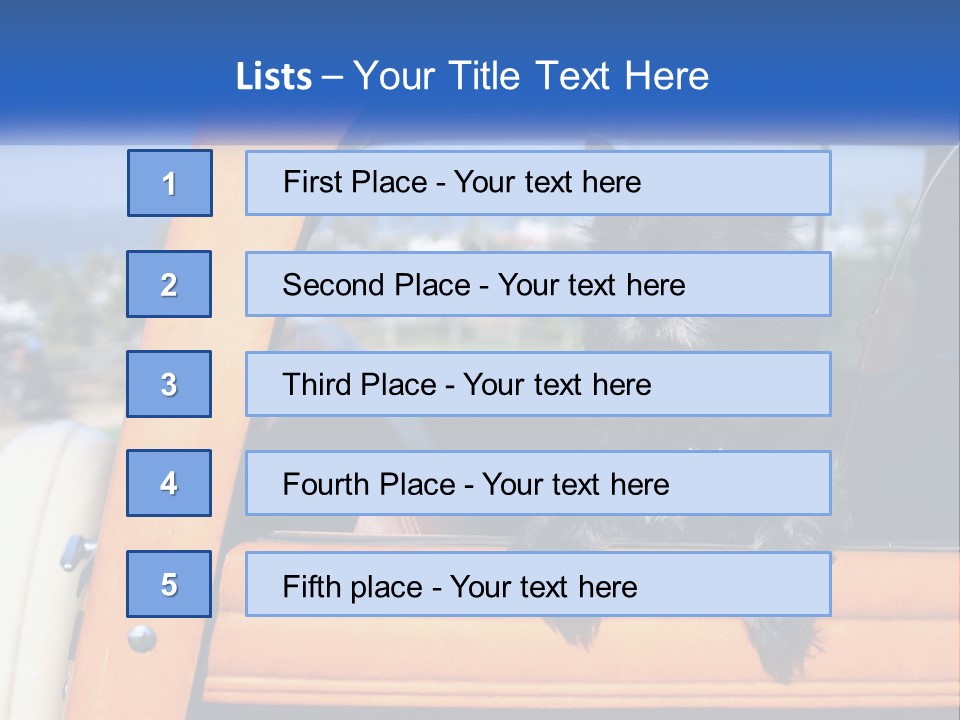 A Small Black Dog Sitting In The Back Of A Truck PowerPoint Template
