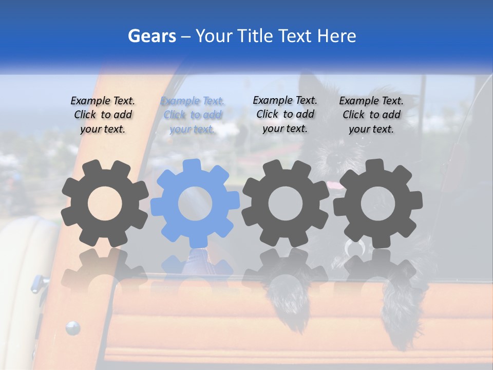 A Small Black Dog Sitting In The Back Of A Truck PowerPoint Template