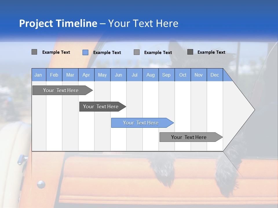 A Small Black Dog Sitting In The Back Of A Truck PowerPoint Template