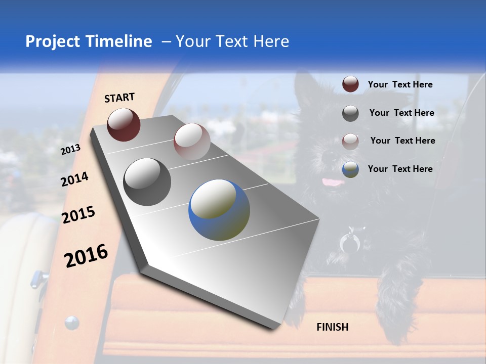 A Small Black Dog Sitting In The Back Of A Truck PowerPoint Template