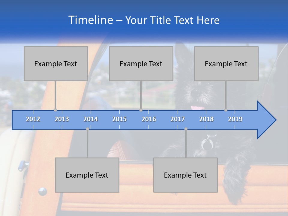 A Small Black Dog Sitting In The Back Of A Truck PowerPoint Template