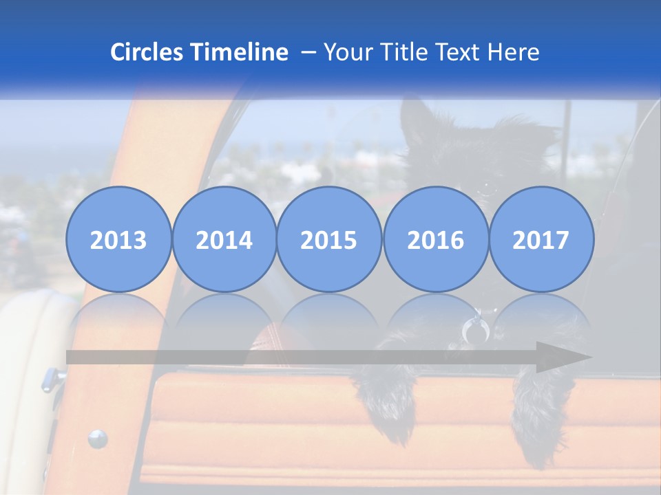 A Small Black Dog Sitting In The Back Of A Truck PowerPoint Template